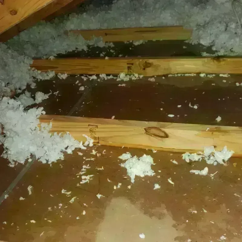 Attic Water Damage in McAdoo, PA